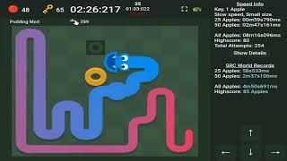Key Mode World Record in Google Snake!!! [2:32] (1A, Slow, Small, 50)