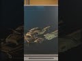 Star Citizen-Gameplay-Vulture-Part7