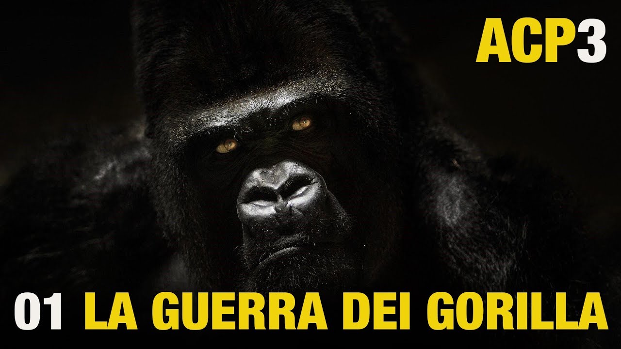 ANIMALI CHE PARLANO 3 La guerra dei gorilla YouTube ANIMALI CHE PARLANO 3 La guerra dei gorilla YouTube