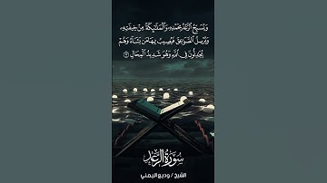سورة الرعد | Ar-Ra‘d | آية 13 | الشيخ وديع اليمني