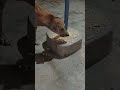 cute dog #cute #dog#doglover #puppy #labrador #shortvideo ##cute teddy bear pic