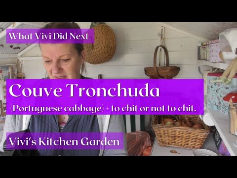 Video: Tronchuda-kålanvändning – tips för att odla portugisiska kålväxter