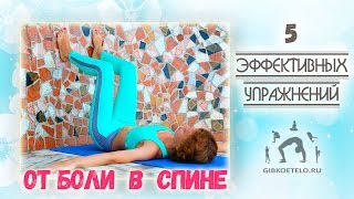 5 Эффективных упражнений ОТ БОЛИ В СПИНЕ