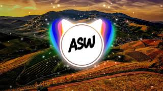 Asw Remix - Daniel Santoro - Not Your Lover