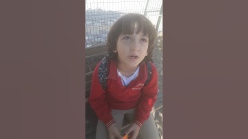 الشيخ عبدالله يتلو سورة التين والزيتون