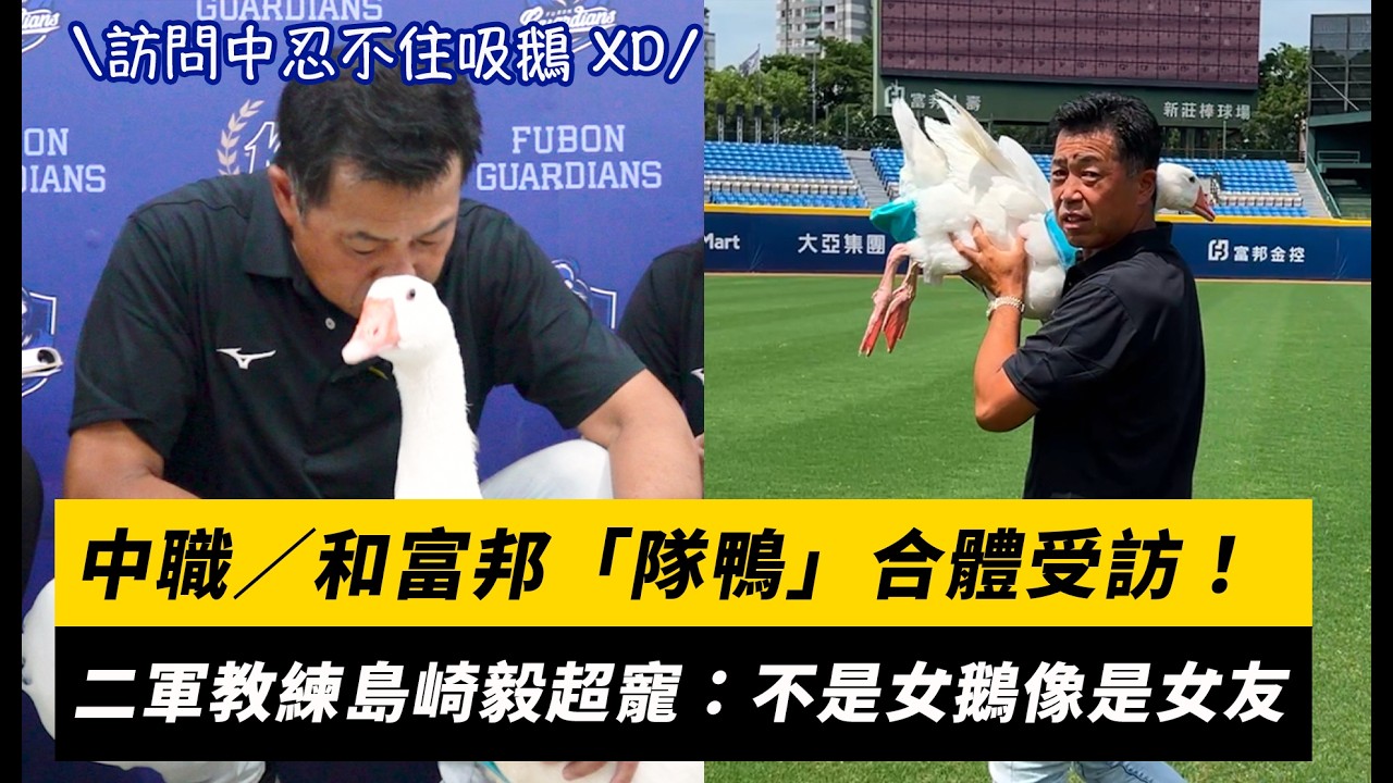 中職/和富邦「隊鴨」合體受訪!二軍教練島崎毅超寵:不是女鵝像是女友|NOWNEWS