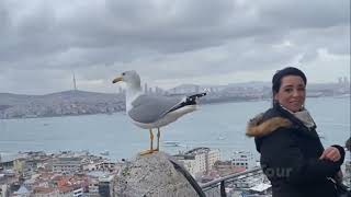 Glata Tower Tour Galata Tower Inside, Istanbul