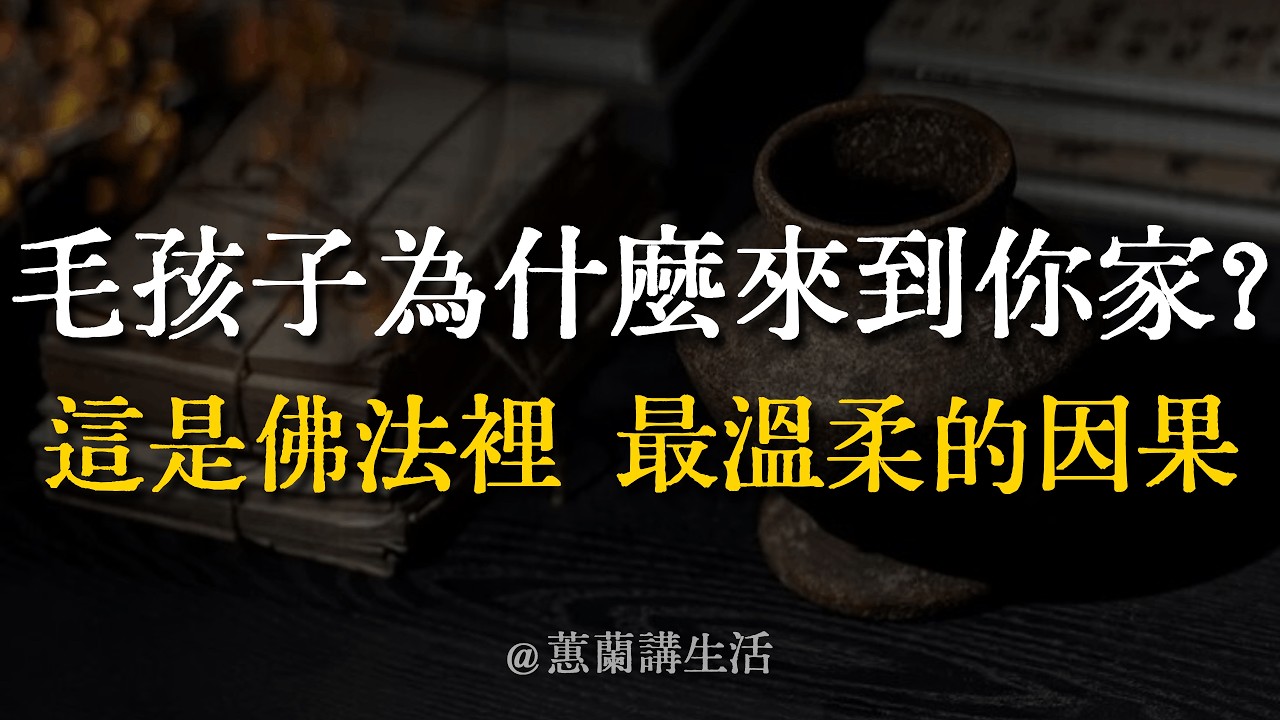 毛孩子為什麼來到你家？這是佛法裡最溫柔的因果。牠手裡攥著一張上輩子簽下的契約，是來報恩、了債、還是渡你？ #蕙蘭說因果 #毛孩子 #寵物靈性 #佛法因緣 #萬物有靈