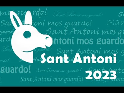 Vídeo: Les millors margarides de Sant Antoni