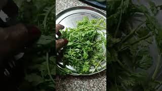 Short Video Cook With Pravita