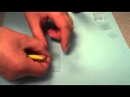 Onion Cell Slide Preparation Quiz