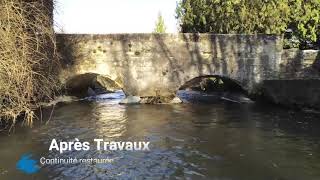 Restauration De La Continuité Écologique De La Nonette À Borest 60