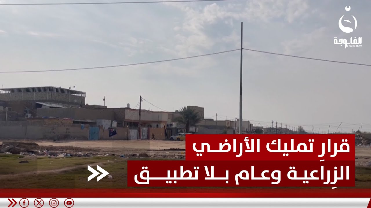 عام على قرار تمليك الأراضي الزراعية ومطالبات بتطبيقه دون تمييز | تقرير: طاهر العساف