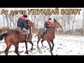 Мына 🐎 ЖЕТСЕҢ АЛДЫҢ БОЛБОСО КАЛДЫҢ 😱 КУРЧ ДЕП УШУНУ АЙТ