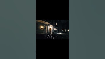 ﴿يَسْتَخْفُونَ مِنَ النَّاسِ وَلَا يَسْتَخْفُونَ مِنَ اللَّهِ﴾ | سورة النساء | #ياسر_الدوسري #قرآن