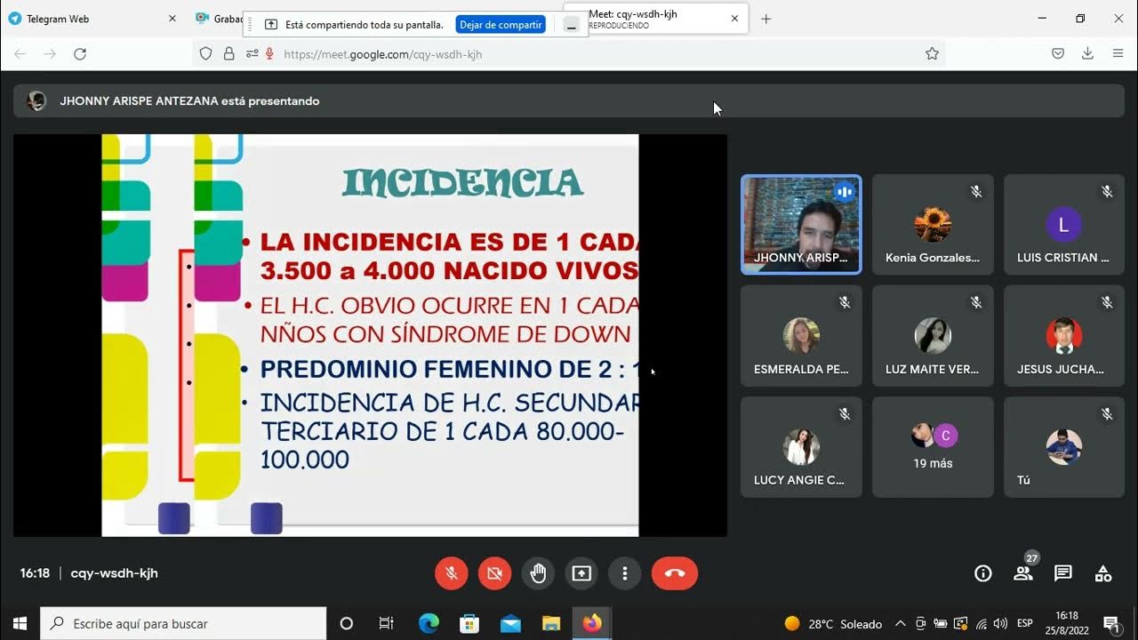 teorica de Dr Arispe YouTube