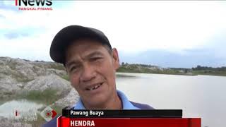 BUAYA LIAR MUNCUL DI KOLONG BUKIT LAYANG