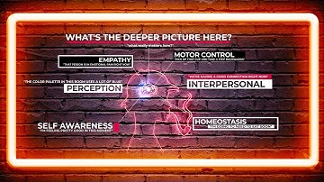 Lesson 1, Chapter 4: The Experience of the Highly Sensitive Person