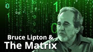 Dr. Bruce Lipton & The Matrix
