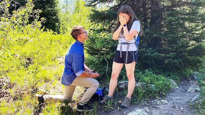 The Proposal Part 1 A Big Surprise