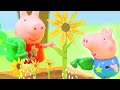 Peppa Pig&#39;s Giant Sunflower ❤️️ Let&#39;s Play With Peppa Pig ❤️️