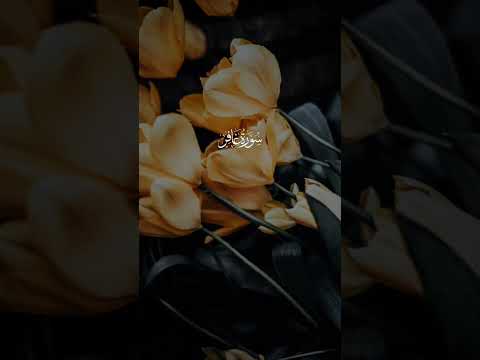 يارب العوض عن كل شعور أثقل قلب   متابعة فولو حالات واتس اكسبلورفولو تيك توك اكسبلور