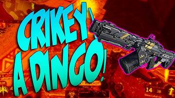 Black Ops 3: "Crikey Mate, Look at that Dingo!" - Best Dingo Setup