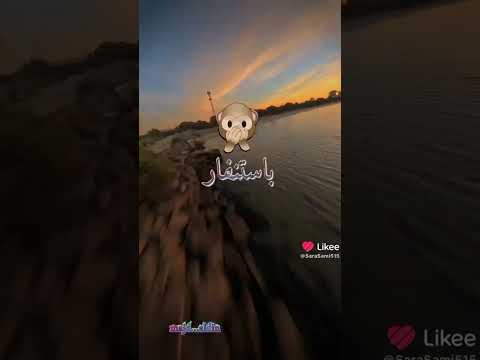 اغاني مجنونه مجنونه بس ولله حنونه