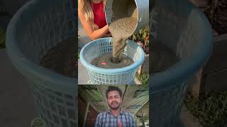 DIY Cement Flower Pot Idea 🪴 | How to Make Planter with Balloon 🎈 #shorts