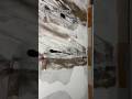 metallic epoxy flooring 😮.👍✅ #shorts #viral #homedecor #epoxy #flooring