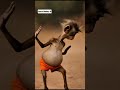 Dame tu cosita #monkey #trend #dance