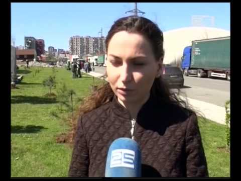 დღეს ბათუმში 50 ხე დარგეს