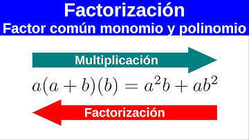 Factor común monomio y polinomio. Factorización. Álgebra.