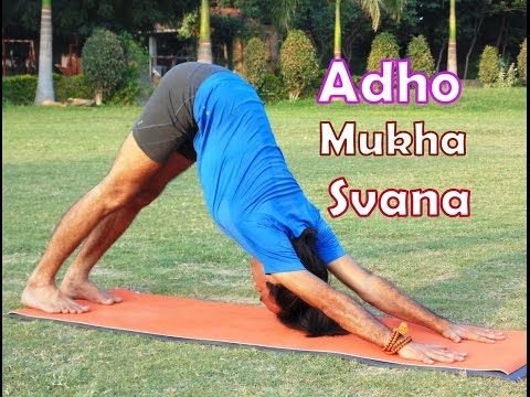 Video: Kako Narediti Adha Mukha Svanasana (pes Obrnjen Navzdol)