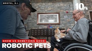 Veterans gifted robotic pets for comfort