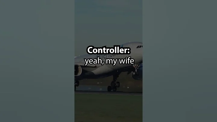 Air Traffic Controller: Did you call me an idiot? | Funny ATC and Pilots