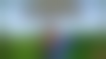 How To Download To the Bat Poles Mod 1.16.4/1.15.2/1.12.2 & Install for Minecraft