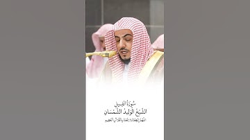 سورة الفيل | الشيخ #الوليد_الشمسان