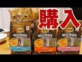 ニュートロ ワイルドレシピ チキン 白身魚 サーモン 計5袋購入して茶トラ猫の茶々とマロンに食べさせてみました！購入をためらった理由を解説！
