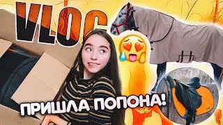 VLOG Распаковка КОННОЙ посылки! + примерка