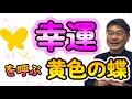 金運を呼ぶ黄色い蝶の秘密！＃手相＃開運＃大和易＃占い＃金運