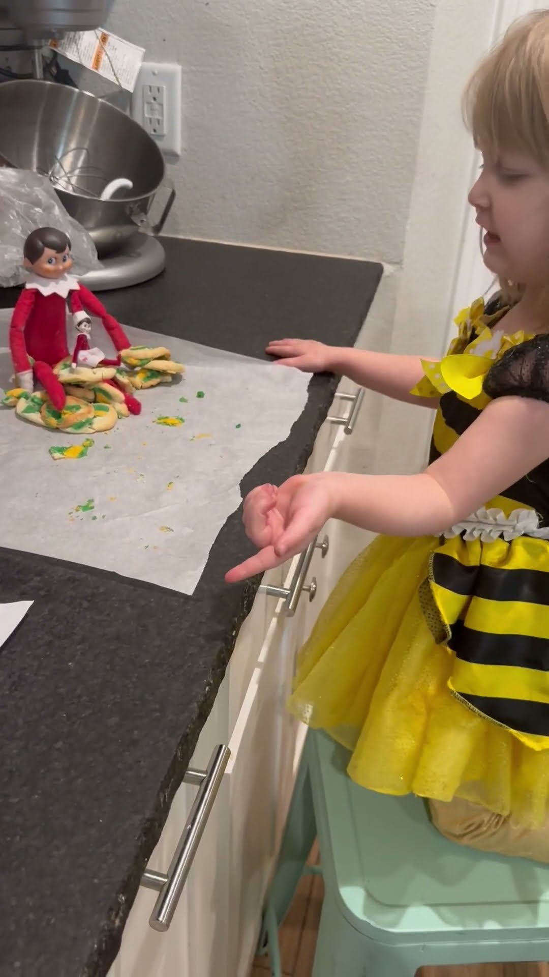 Girl Lectures Elf About Broken Cookies || ViralHog