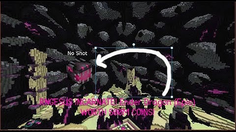 i may have dropped one of the rarest things in hypixel skyblock