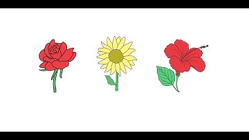 Firefly Pre-Primary Digital Preview - Environmental Studies A