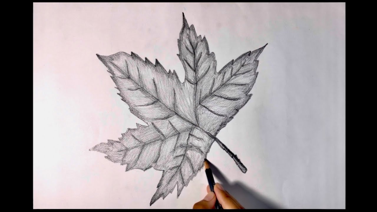How to draw a leaf 🍁 | Pencil sketch | step by step | easy way to draw ...