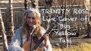 Big Yellow Taxi Live Cover by Trinity Rose