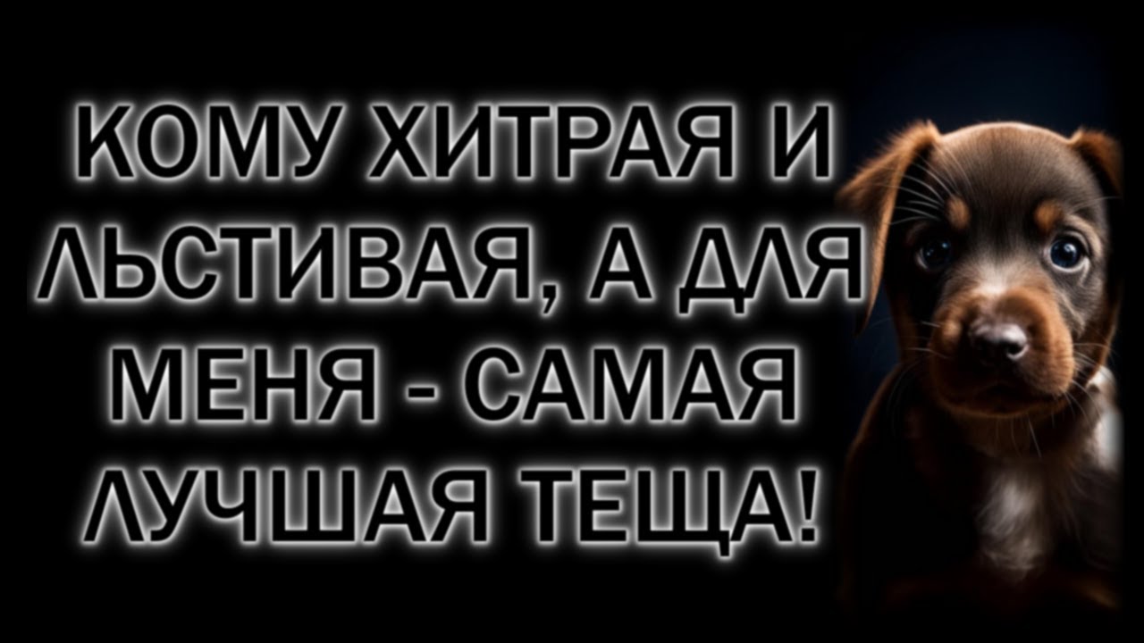 Кому хитрая и льстивая, а для меня - самая лучшая теща!