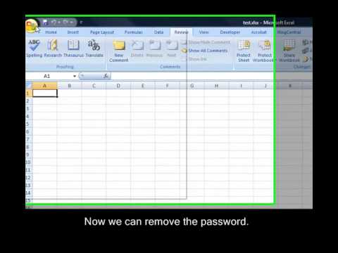 How to remove a password protected and shared excel file in Excel 2007