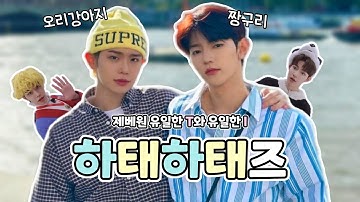 제베원 유일한 T와 유일한 I의 조합 | 김태래X장하오 웃음 터지는 하태하태즈 케미 모음.zip