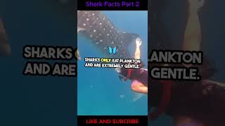 Shark Facts Part 2: 5 More Surprising Shark Secrets